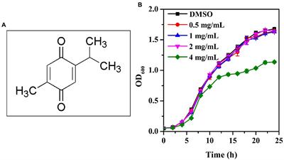 Inactivation of Pseudomonas aeruginosa biofilms by thymoquinone in combination with nisin